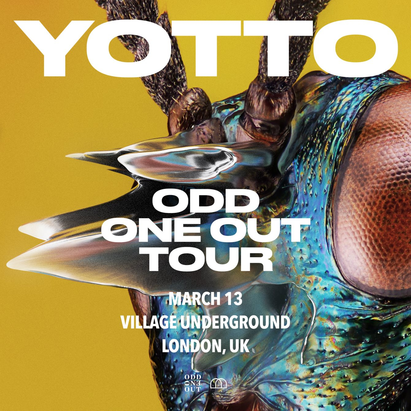 yotto tour uk